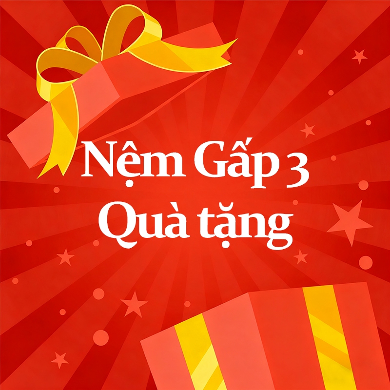 Nệm Bông Ép Gấp 3 LUMOO