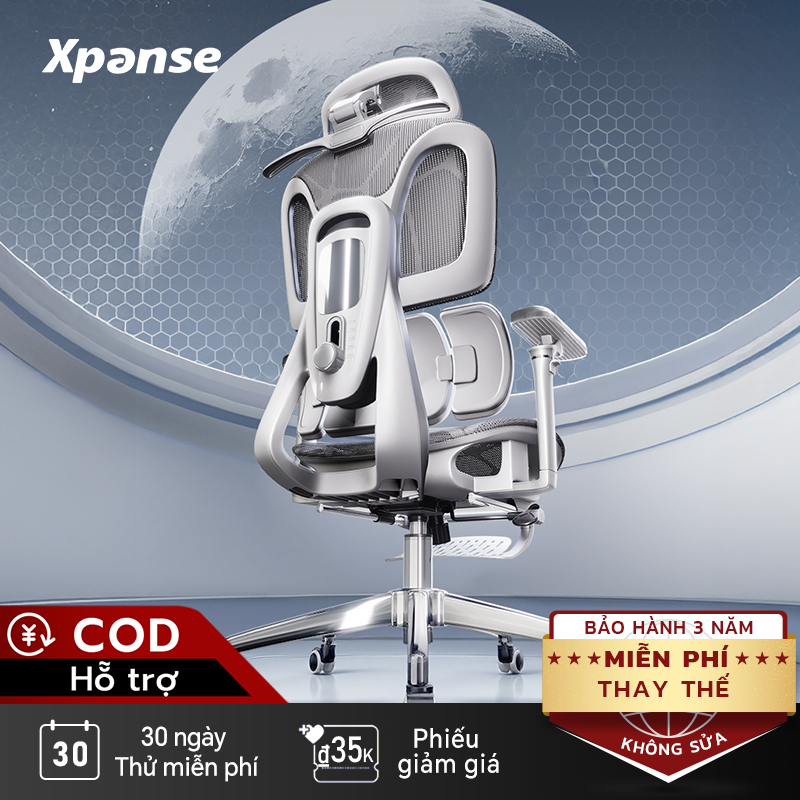 Ghế công thái học Xpanse H904